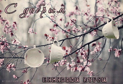 Хостинг картинок yapx.ru