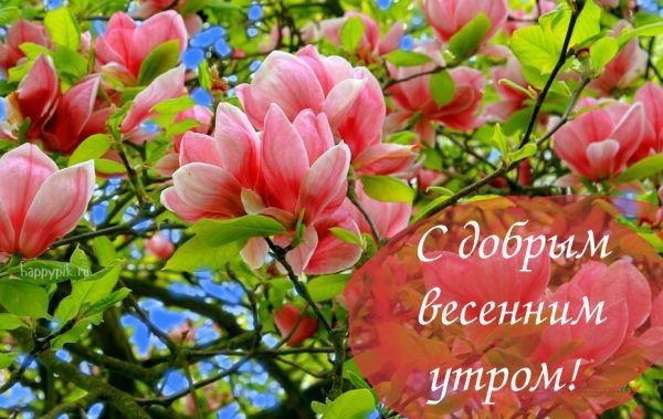 Хостинг картинок yapx.ru