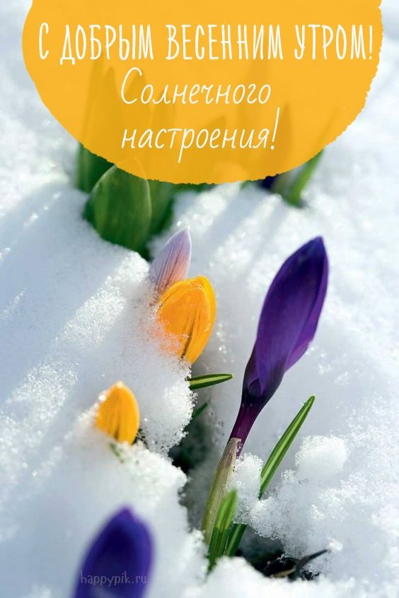 Хостинг картинок yapx.ru