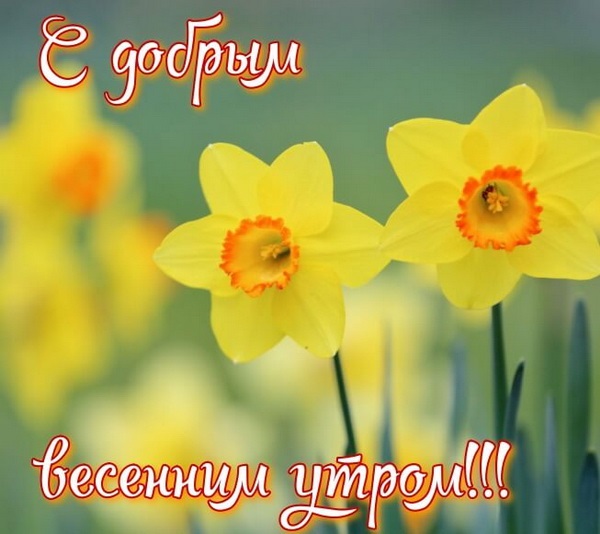 Хостинг картинок yapx.ru