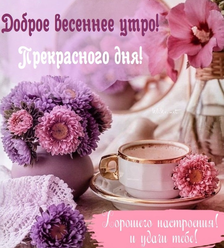 Хостинг картинок yapx.ru