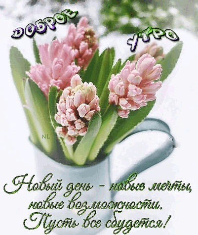 Хостинг картинок yapx.ru