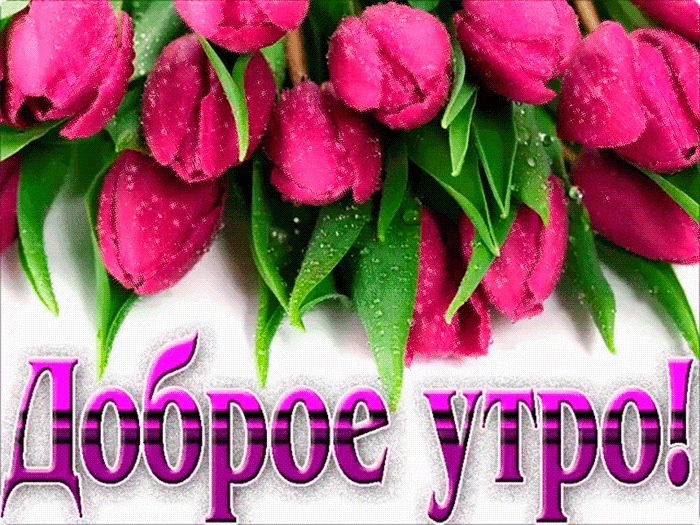 Хостинг картинок yapx.ru