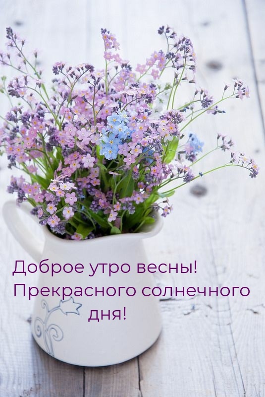 Хостинг картинок yapx.ru