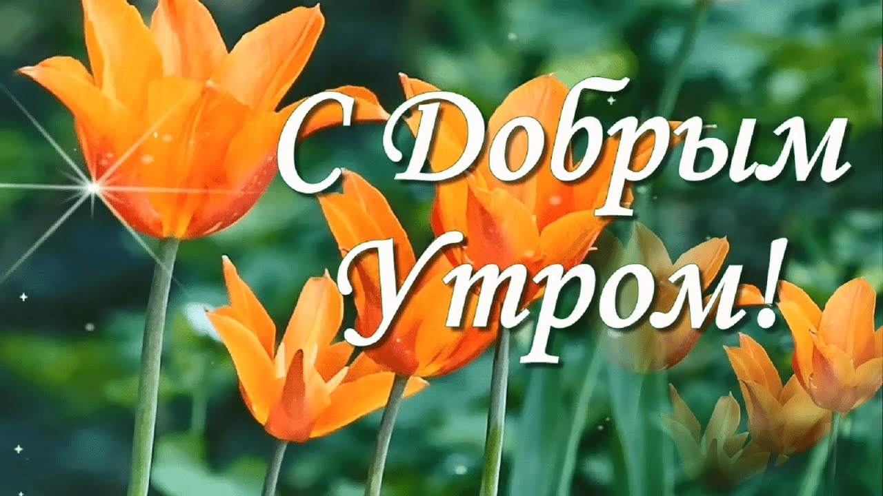 Хостинг картинок yapx.ru