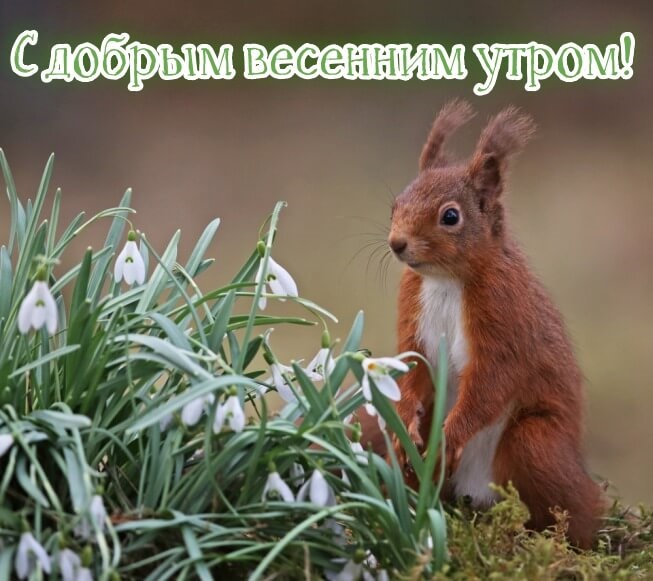 Хостинг картинок yapx.ru