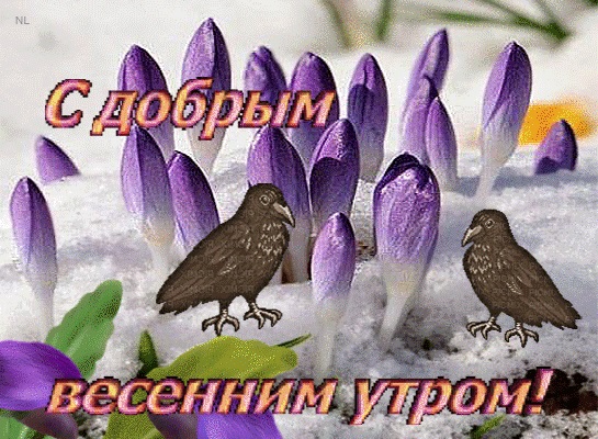 Хостинг картинок yapx.ru