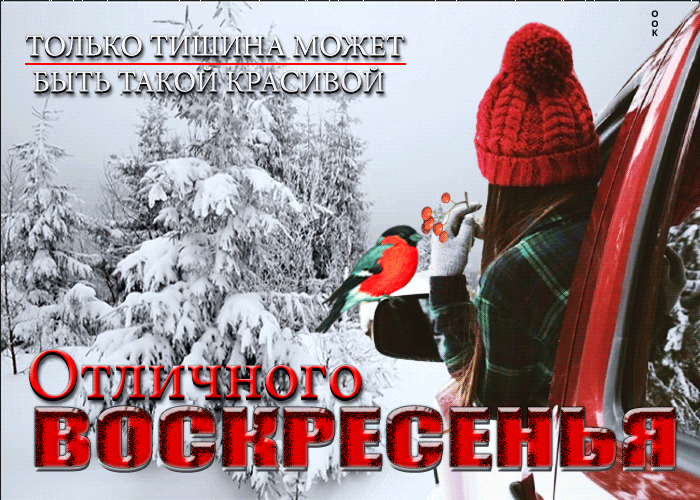 Морозная Открытка отличного воскресенья с надписью