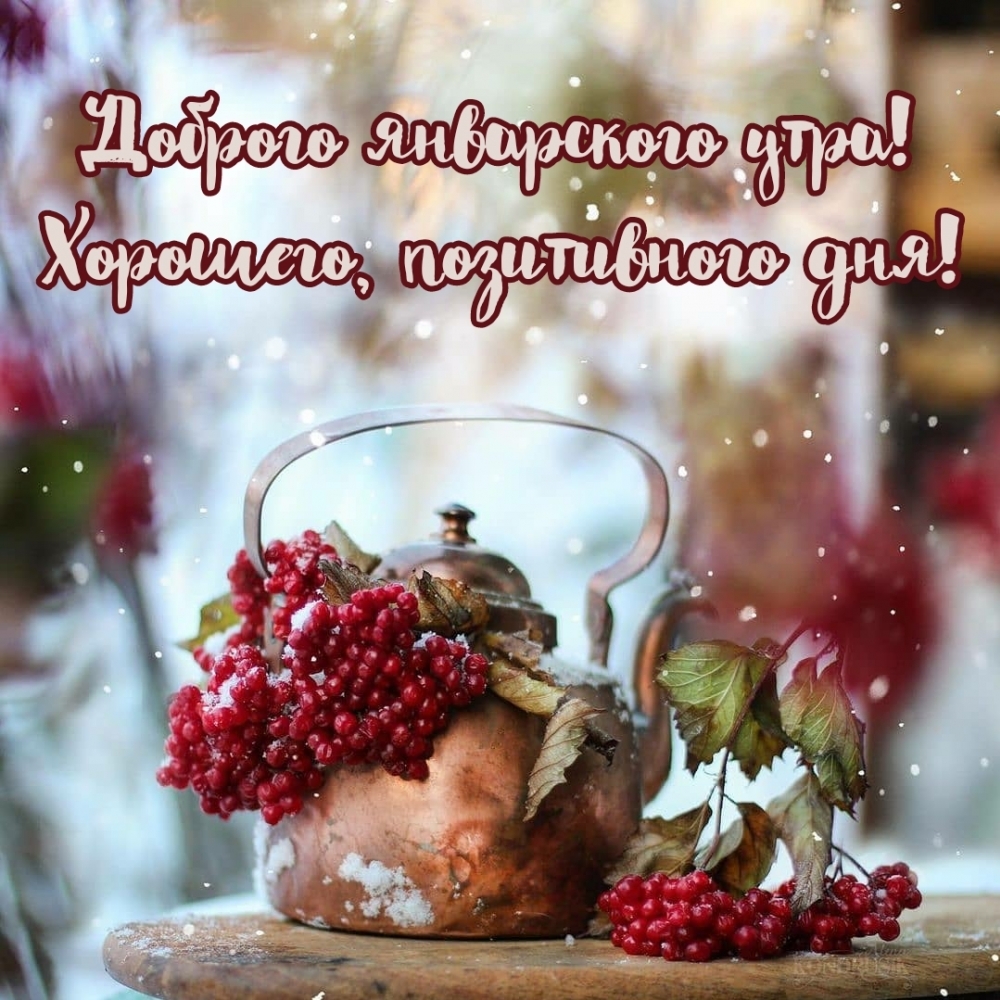 Прикольная картинка доброго январского утра! Хорошего, позитивного дня! Прикольная картинка доброго январского утра! Хорошего, позитивного дня!