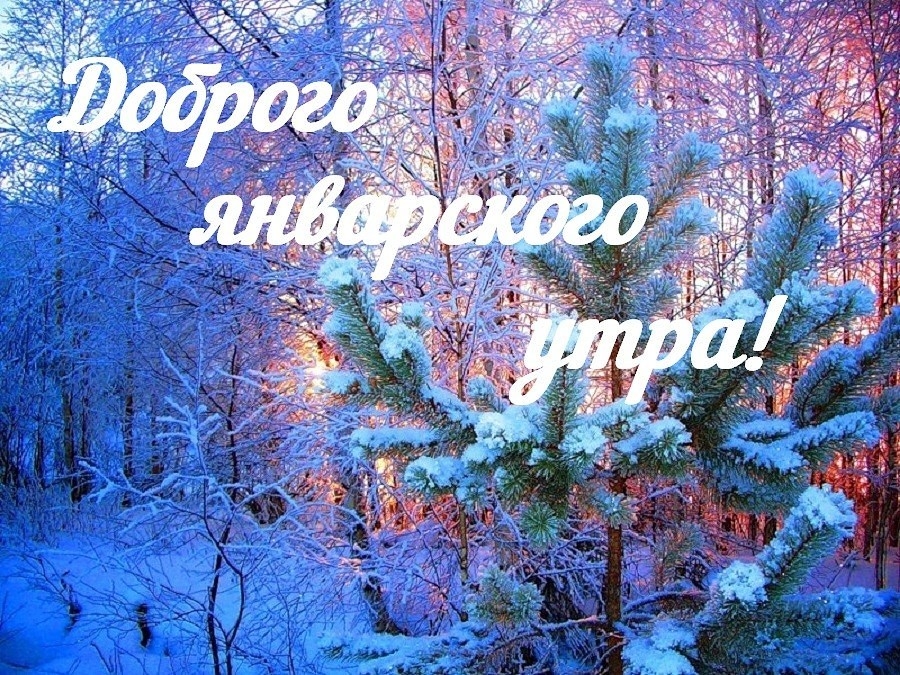 С добрым морозным январским утром красивая бесплатная открытка С добрым морозным январским утром красивая бесплатная открытка