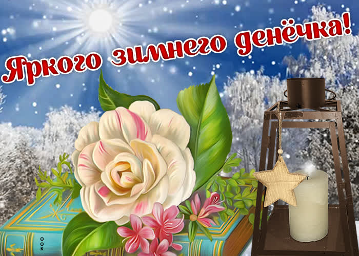 Картинка яркого зимнего денечка с розой