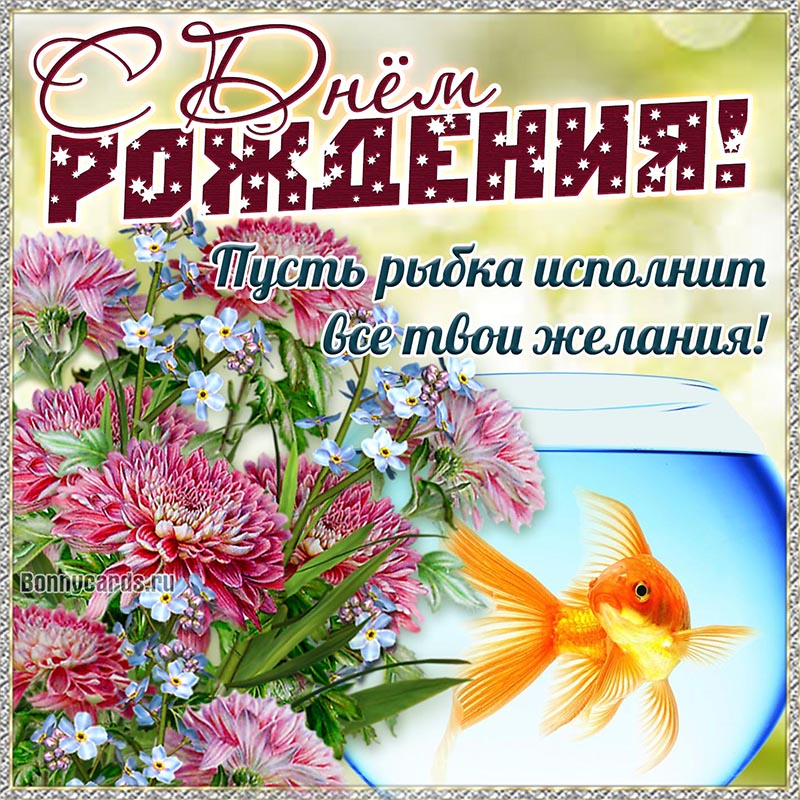 С Днём рождения, пусть рыбка исполнит все твои желания.