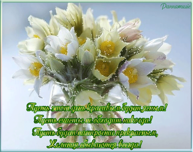 Открытки / цветы, утро, солнце, настроение, гарно, день, пожелание, Цветы весенние с добрыми пожеланиями