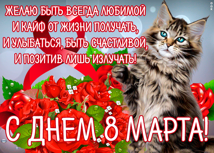 Красивые слова на 8 Марта с котиком и цветами на анимированной гиф картинке! Красивые слова на 8 Марта с котиком и цветами на анимированной гиф картинке!