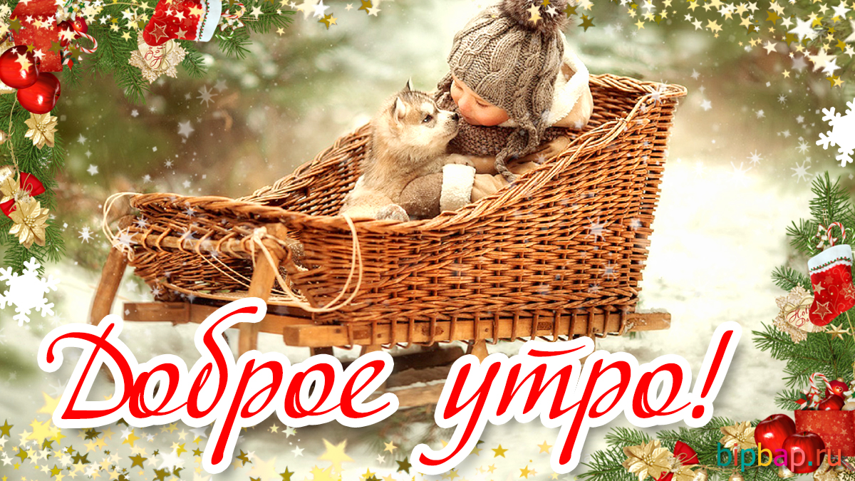 Красивые картинки Доброе зимнее утро!