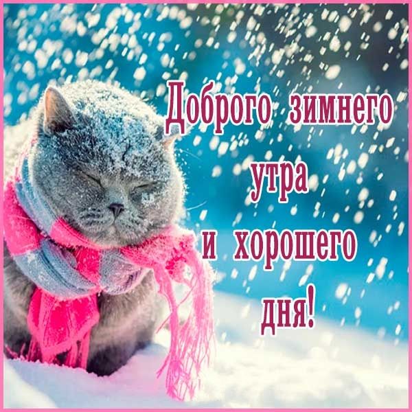 Зимнее утро картинки красивые с надписями. Доброе зимнее утро с котиками