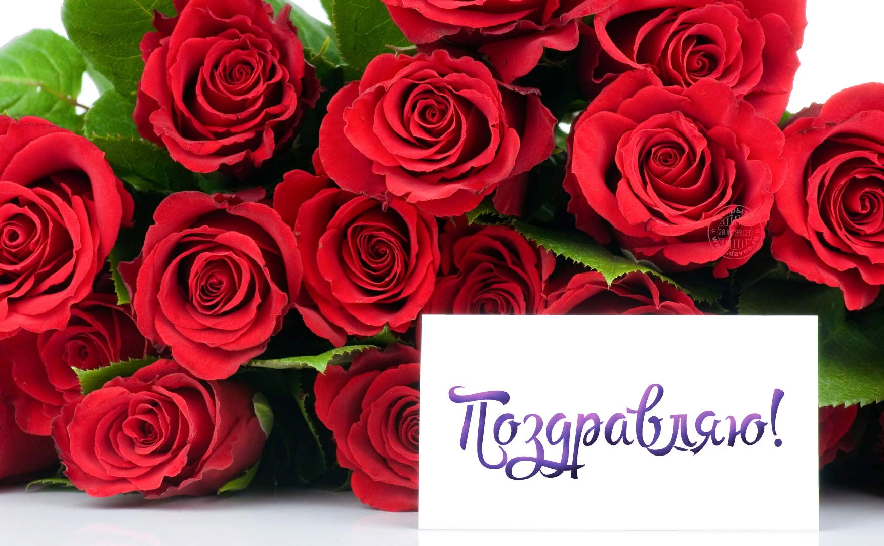 Цветы поздравления, Открытки с розами