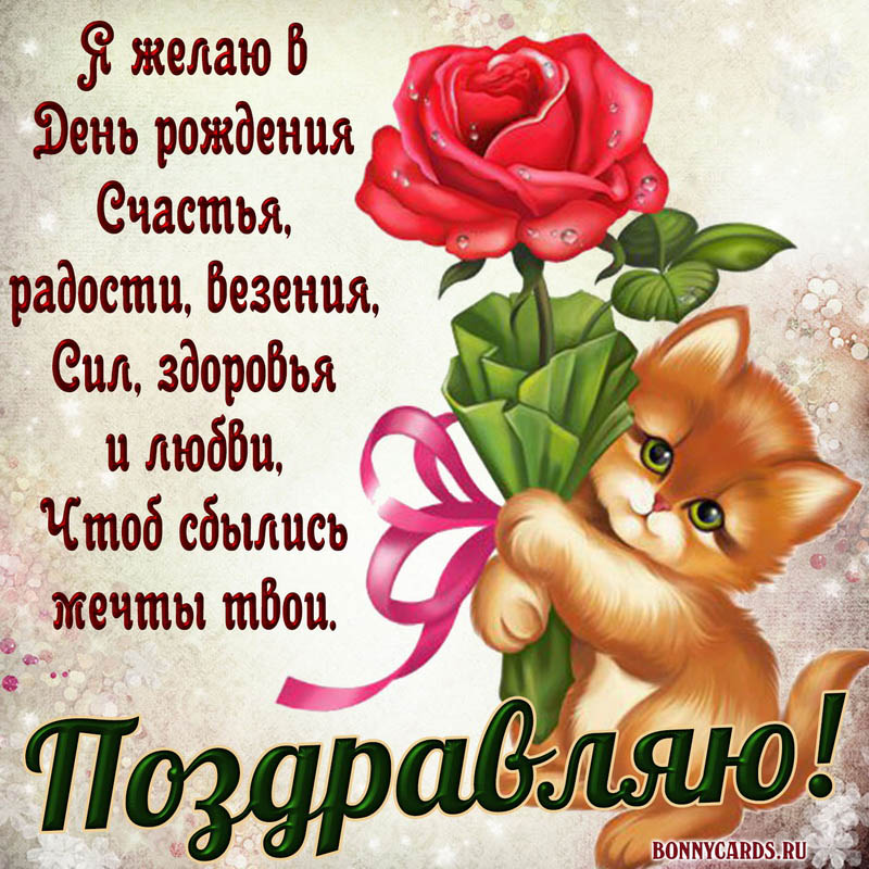 Открытка с котёнком и розочкой женщине на День рождения. Открытка с котёнком и розочкой женщине на День рождения.