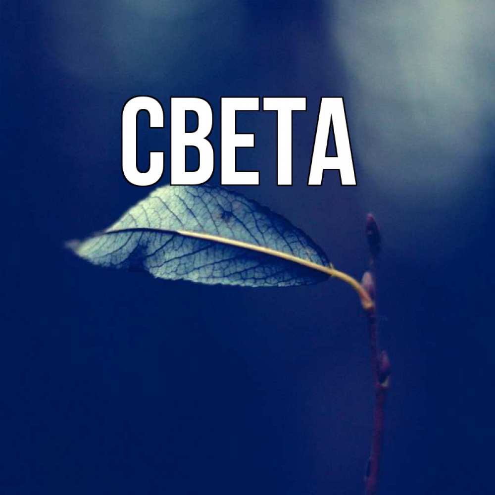 Обои с именем света Обои с именем света