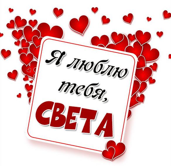 Я люблю свету картинки Я люблю свету картинки