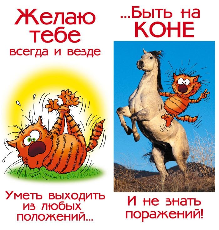  Смешные поздравления с днем рождения