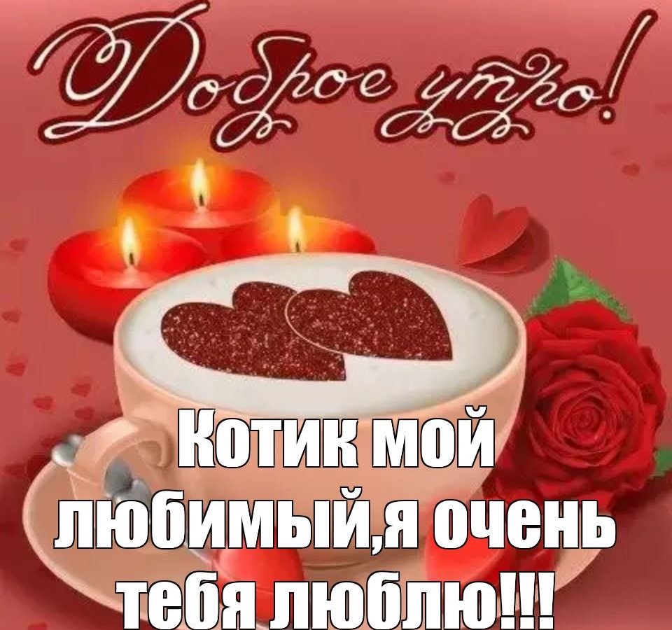 Открытки с добрым утром любимый котик с пожеланиями в прозе!