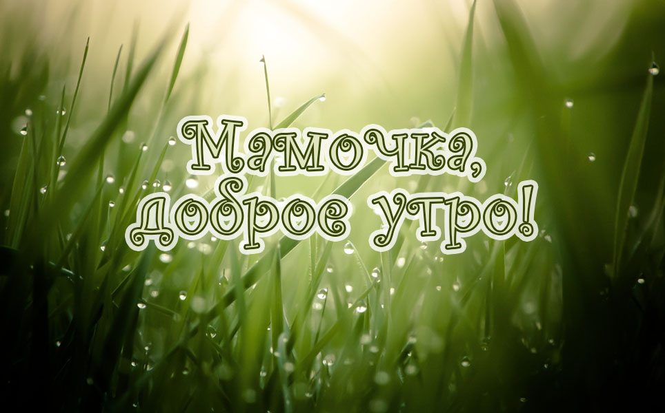 Очень красивая картинка Мамочка, с добрым утром тебя!