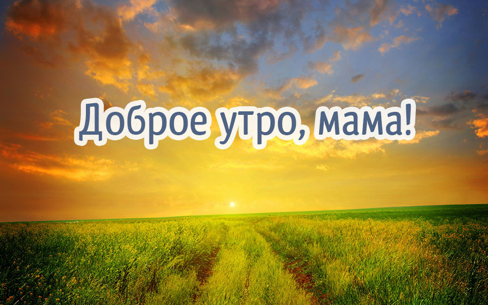 Картинки с добрым утром и хорошего дня маме.