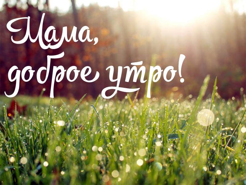 Пожелание доброго утра маме в картинках