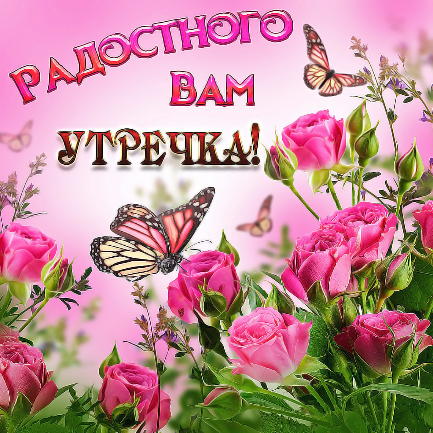 Открытки с добрым утром красивые с цветами и бабочками! Открытки с добрым утром красивые с цветами и бабочками!