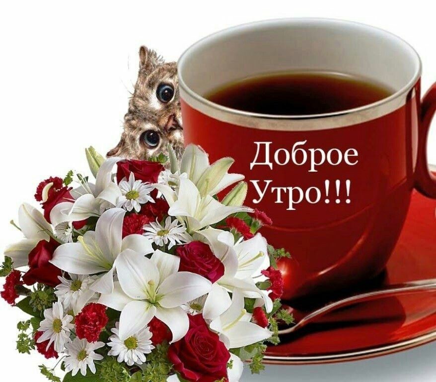 Необычные пожелания с добрым утром Необычные пожелания с добрым утром
