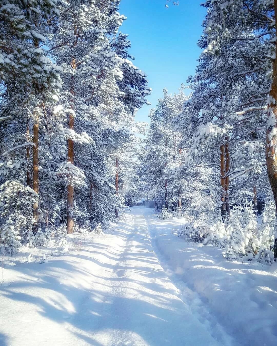 Очень красивый зимний фон