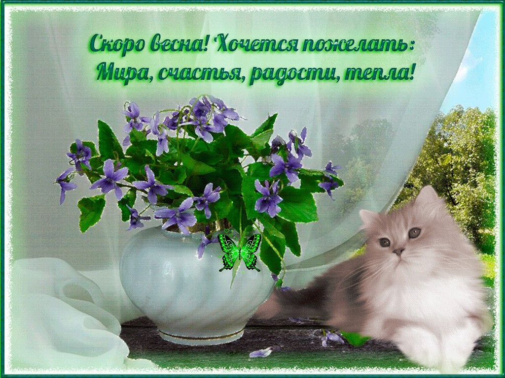 Открытки с наступающей весной с красивыми пожеланиями в прозе, своими словами!