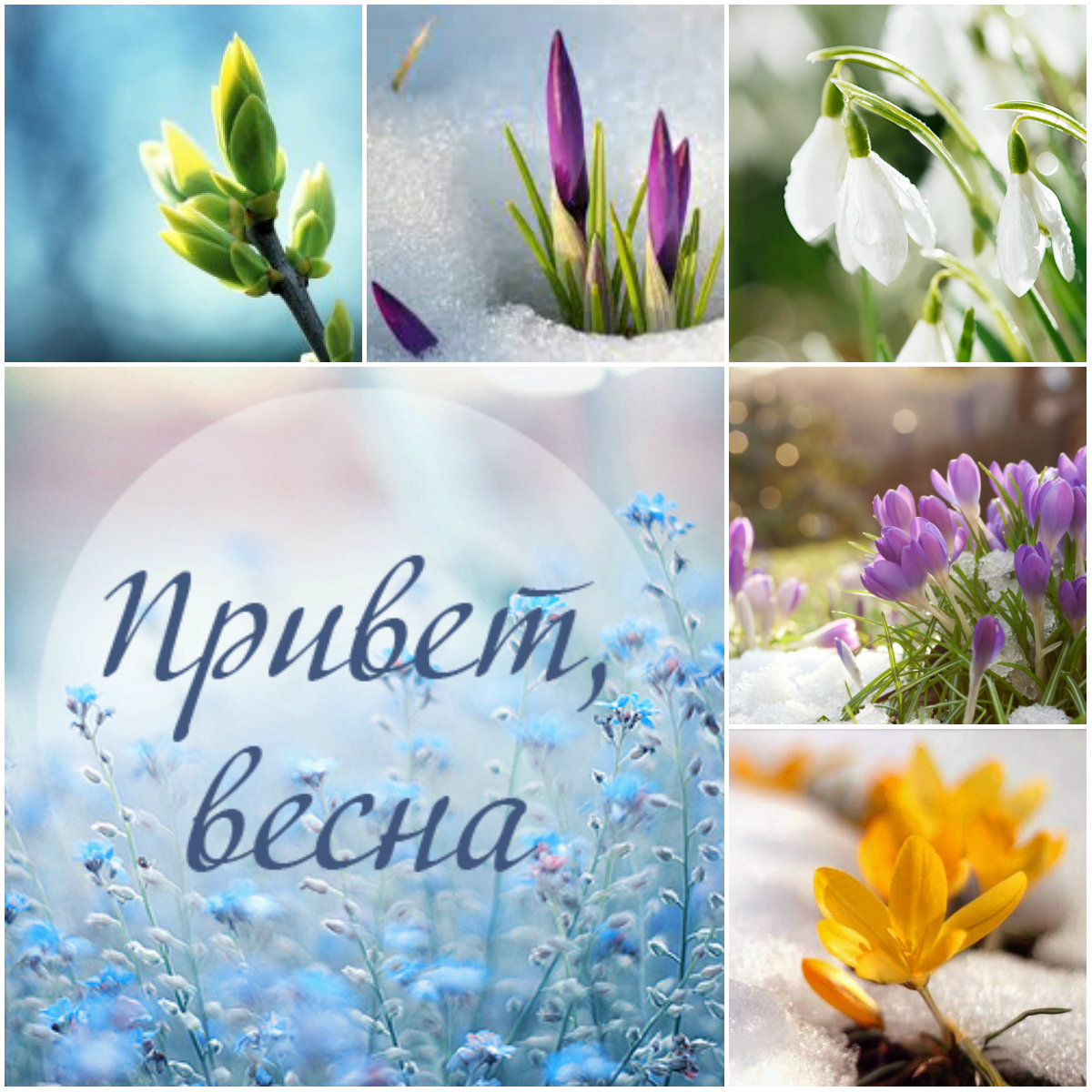 Ароматы весны открытки