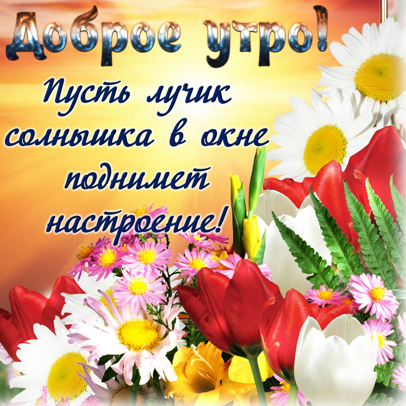 Красивые открытки, картинки с добрым утром. Позитивные открытки с добрым утром