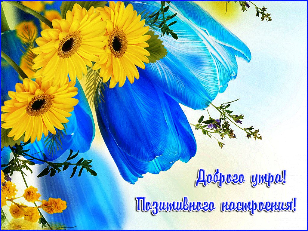 Картинки с пожеланием Светлого дня и хорошего настроения