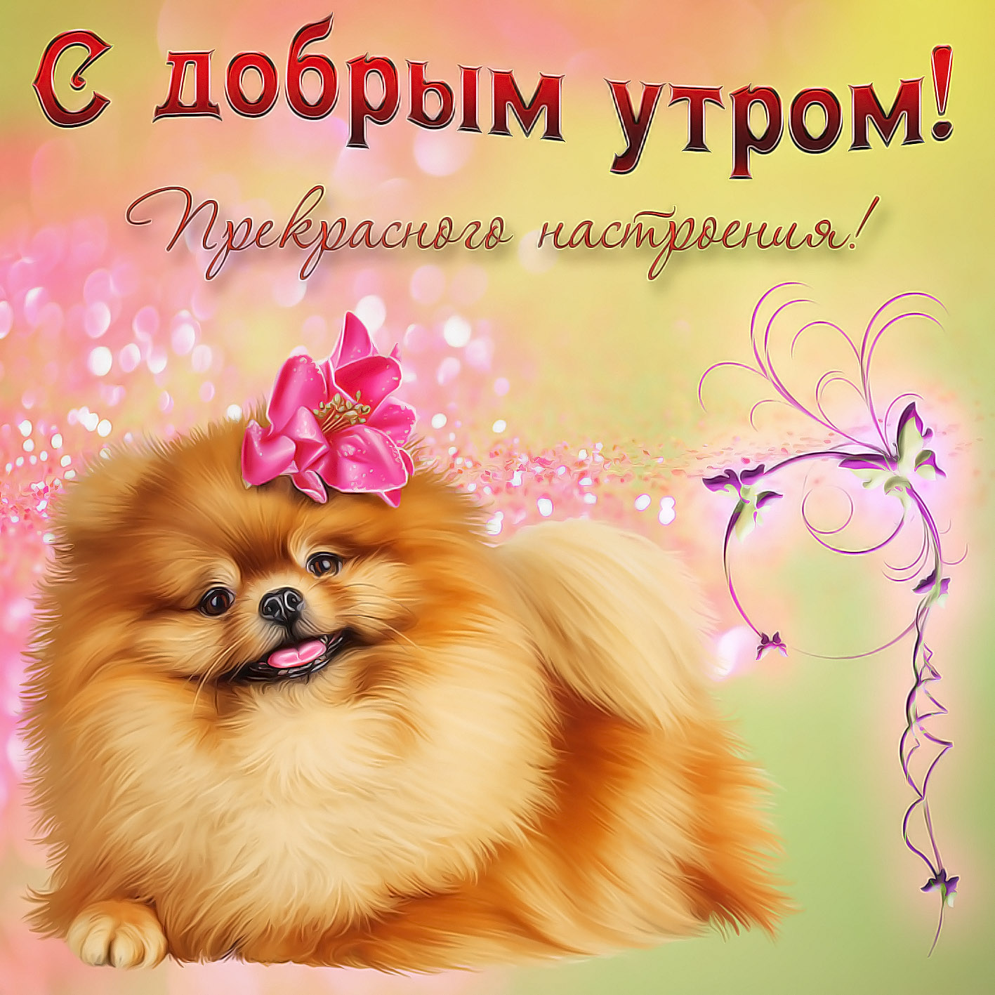 Открытки с пожеланием доброго утра и прекрасного настроения на весь день!