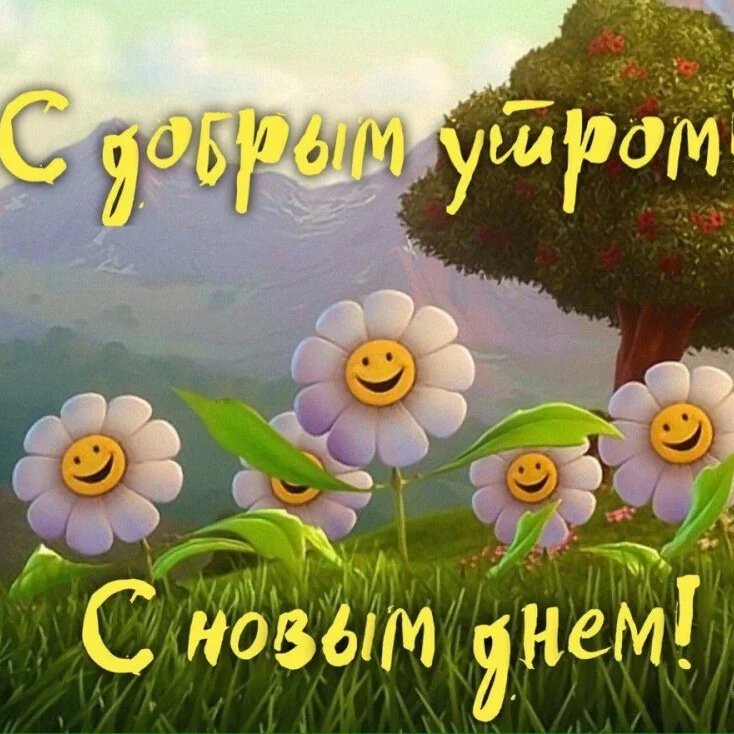 Пожелания доброго утра прикольные с ромашками!