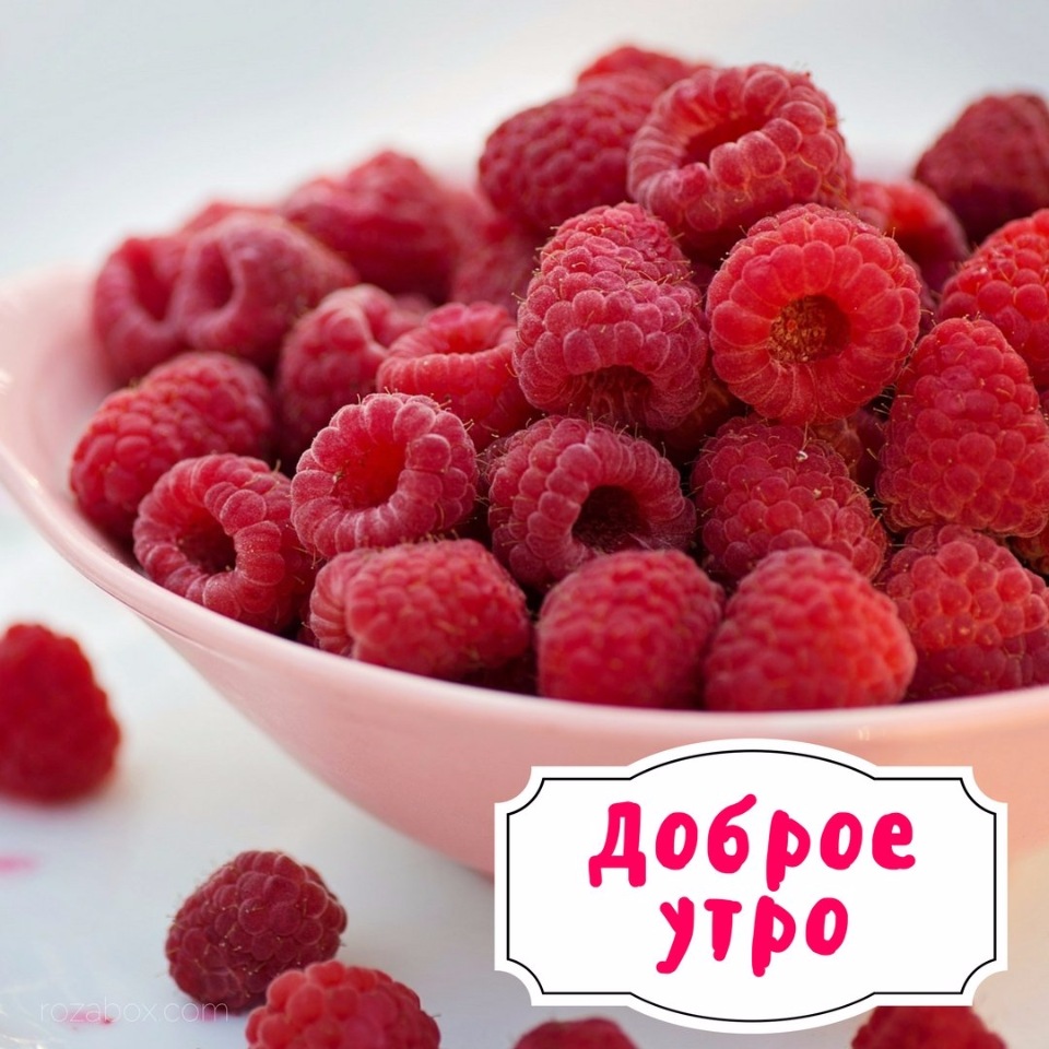 Доброе утро Малиновое настроение