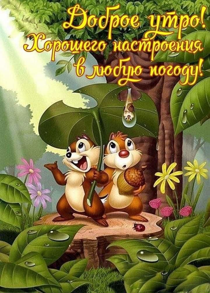 Картины для хорошего настроения