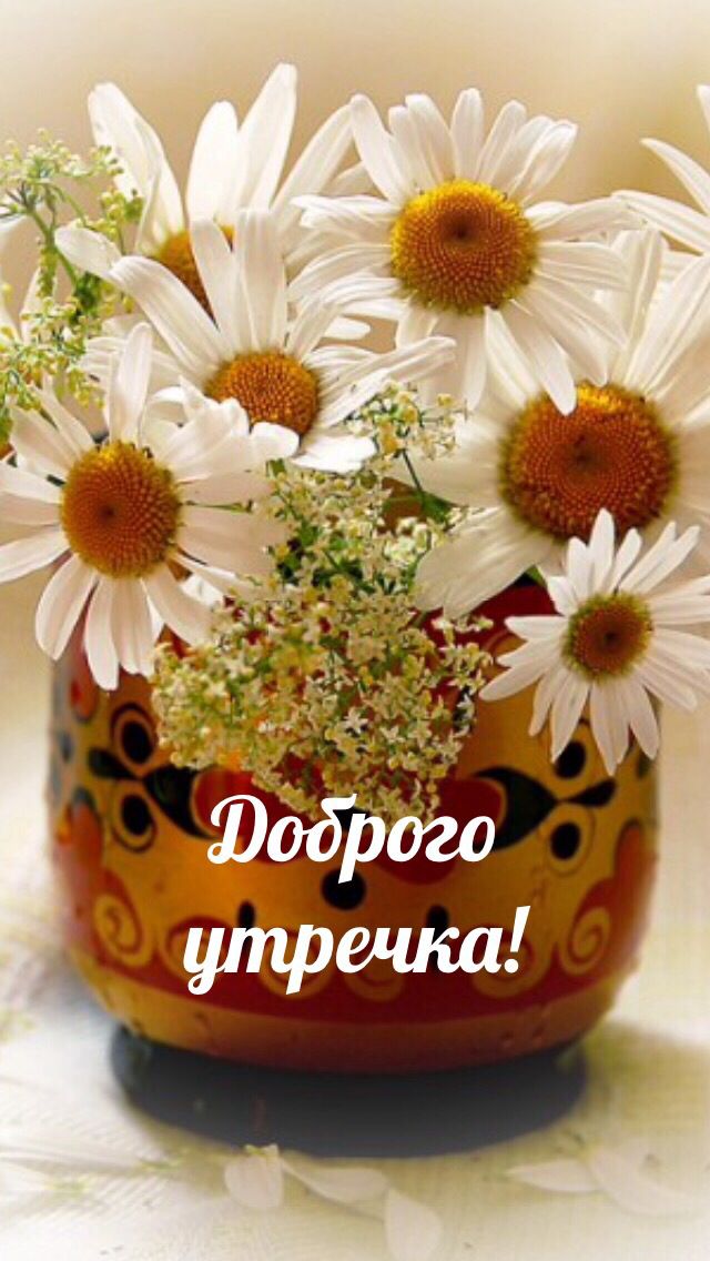 Хорошего настроения и удачного дня цветы