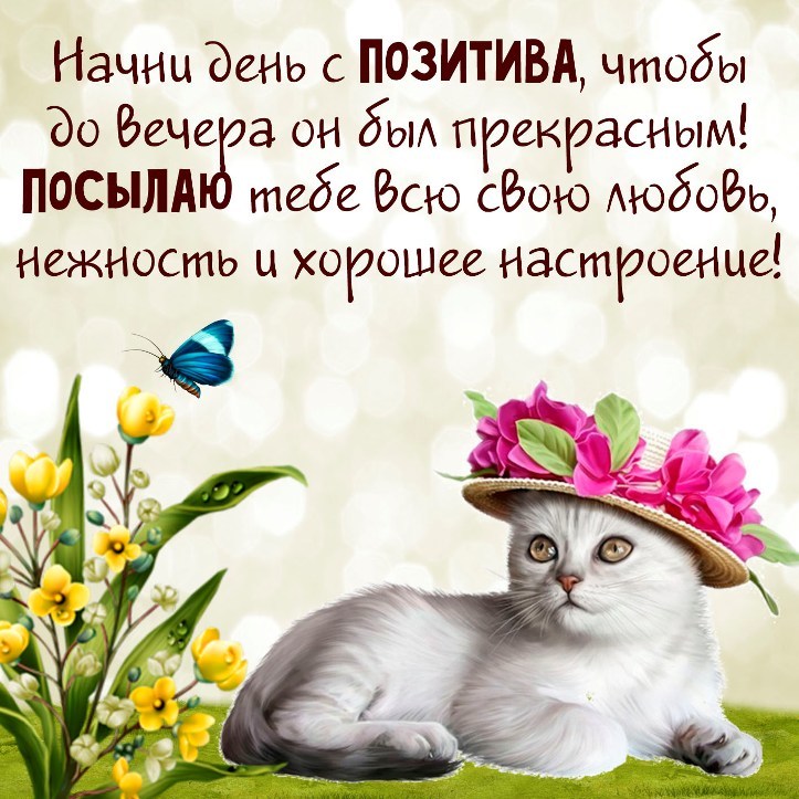 Открытки с позитивными пожеланиями на весь день!