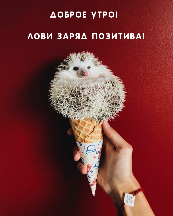 Доброе утро заряд позитива