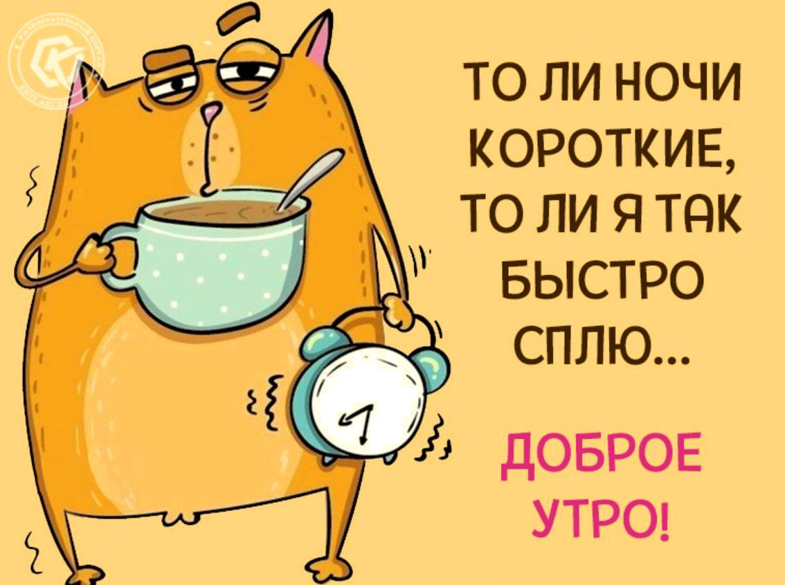 Прикольные картинки для поднятия Настроения (фото) с надписями и без. Смешные поздравления с добрым утром