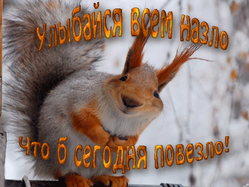 С добрым утром Бельчонок С добрым утром Бельчонок