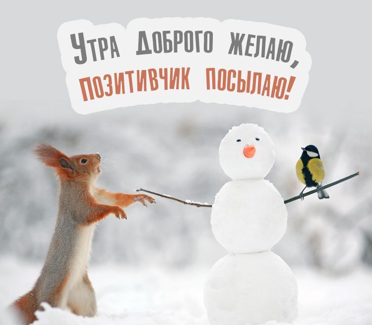 Скачайте красивые зимние картинки с пожеланиями доброго утра в Февральскую пятницу! Скачайте красивые зимние картинки с пожеланиями доброго утра в Февральскую пятницу!
