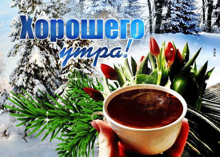 Блестящая картинка хорошего утра в феврале!