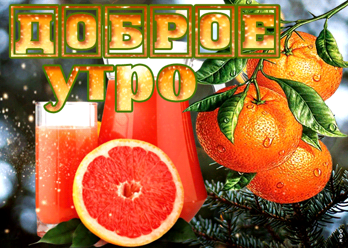 Блестящая зимняя открытка доброе утро с цитрусовыми фруктами
