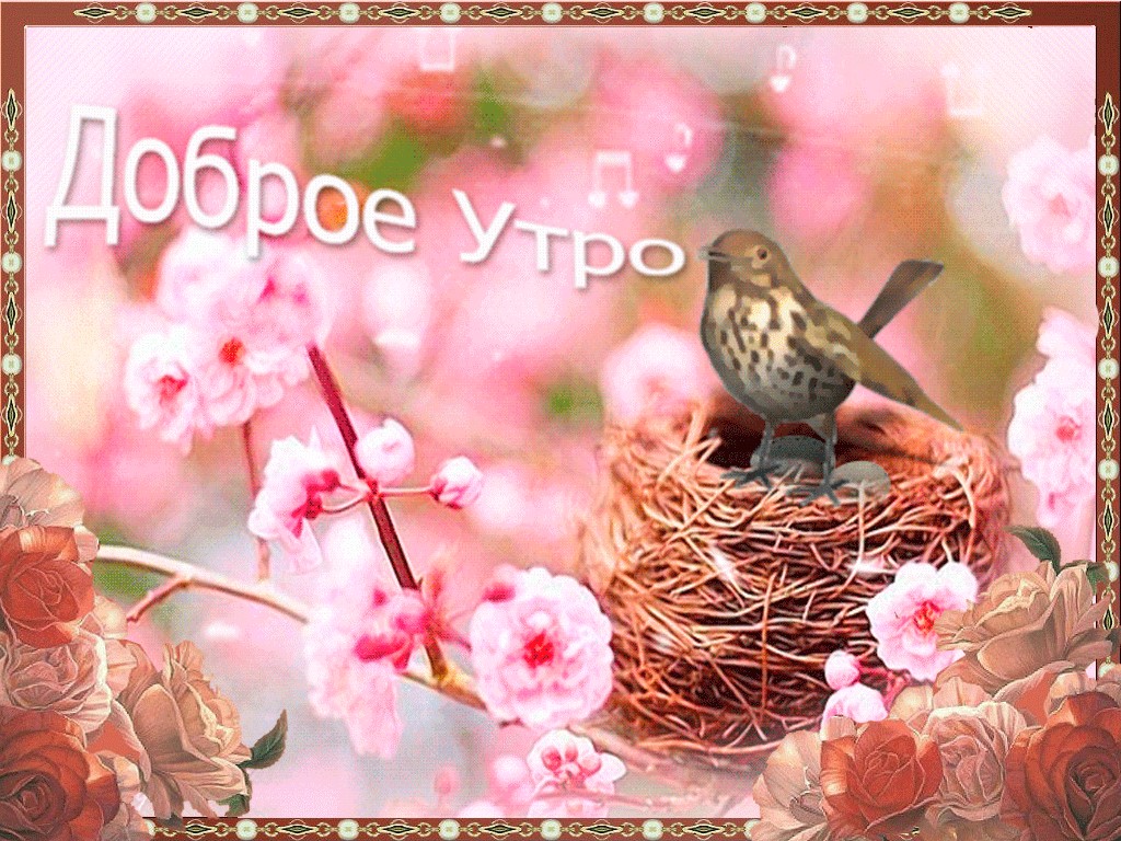В доброе утро весеннее, светлое, Небо...