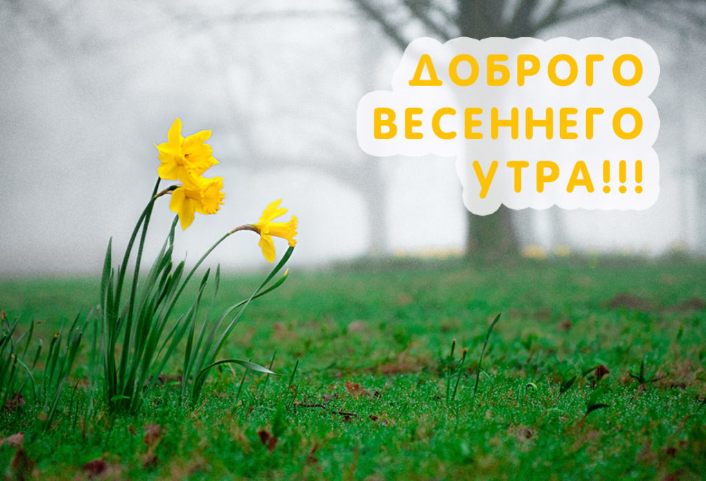 С добрым утром - картинки весенние.